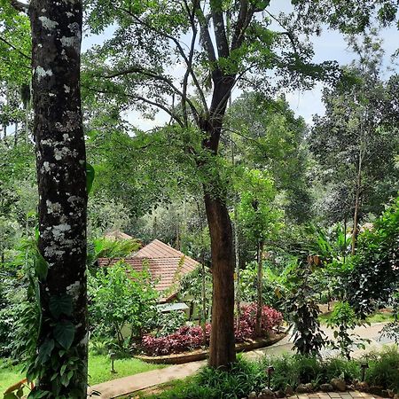 Willow Resorts Ambalavayal Exteriér fotografie
