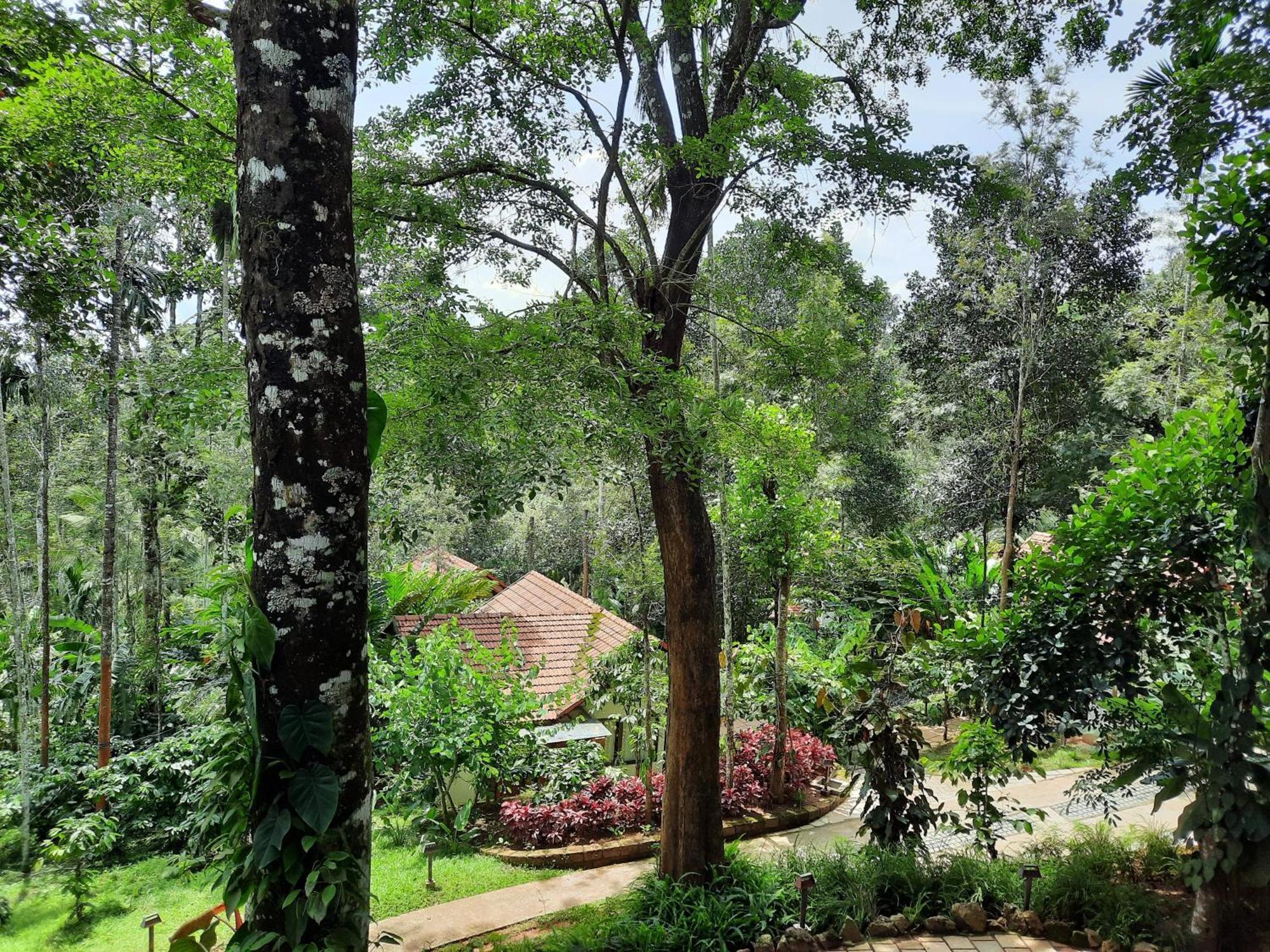 Willow Resorts Ambalavayal Exteriér fotografie